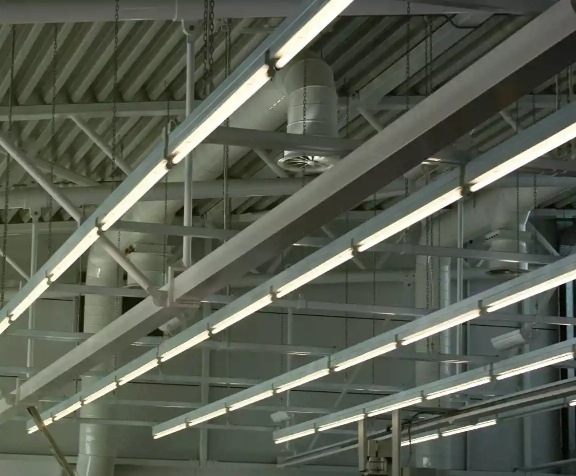 +46% meer transacties voor Exshop.nl